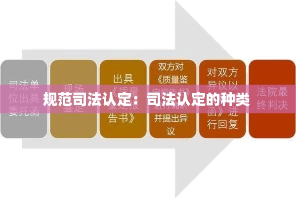 规范司法认定：司法认定的种类 