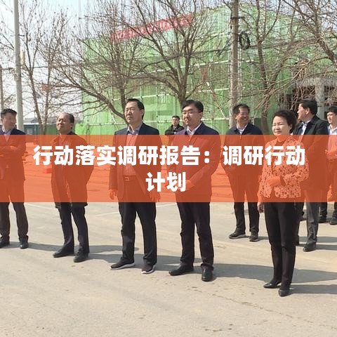 行动落实调研报告:调研行动计划