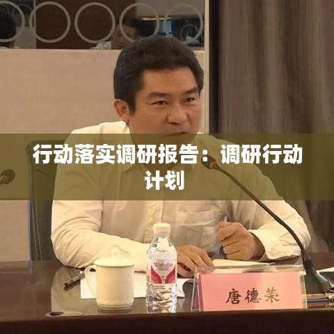 行动落实调研报告:调研行动计划