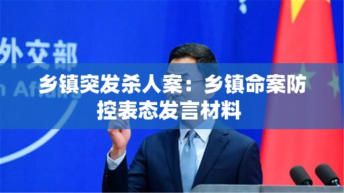 乡镇突发杀人案：乡镇命案防控表态发言材料 