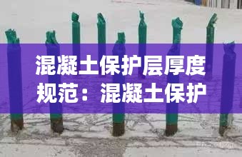 仙姿佚貌 第4页