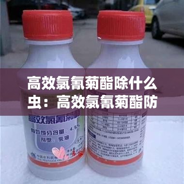 高效氯氰菊酯除什么虫：高效氯氰菊酯防治什么虫 