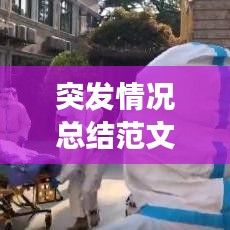 突发情况总结范文:突发事件情况汇报范例