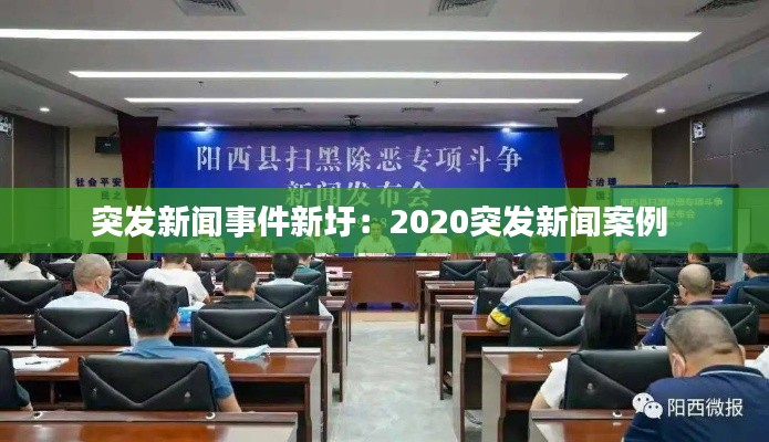 突发新闻事件新圩：2020突发新闻案例 