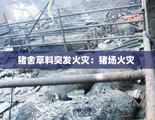 猪舍草料突发火灾：猪场火灾 