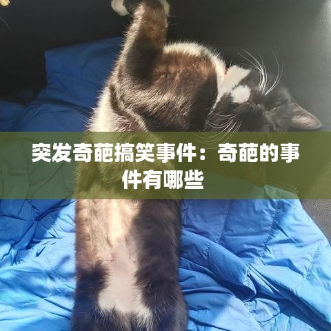 金石为开 第3页