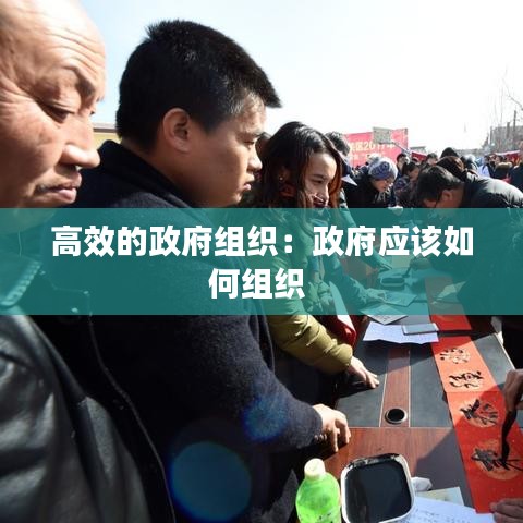 高效的政府组织：政府应该如何组织 