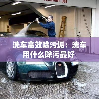 物以希为贵 第3页