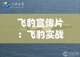 飞豹宣传片：飞豹实战画面 