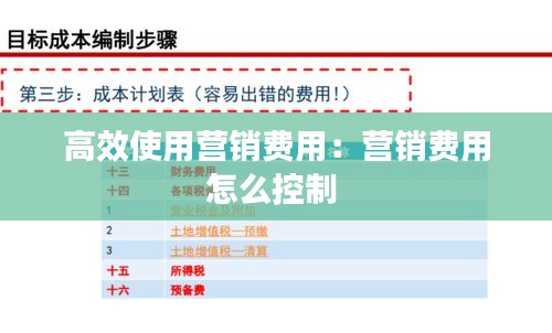 高效使用营销费用:营销费用怎么控制
