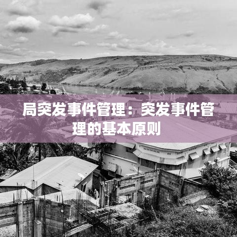 局突发事件管理：突发事件管理的基本原则 