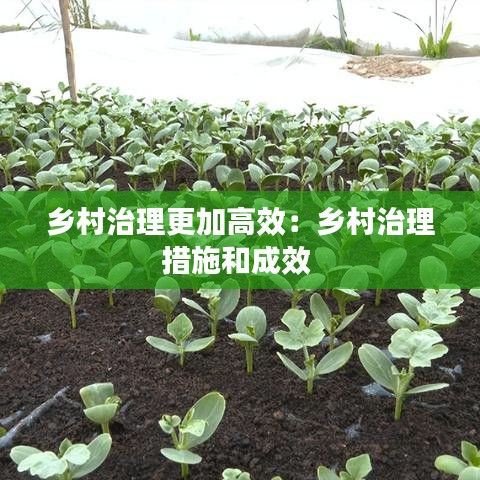 乡村治理更加高效：乡村治理措施和成效 