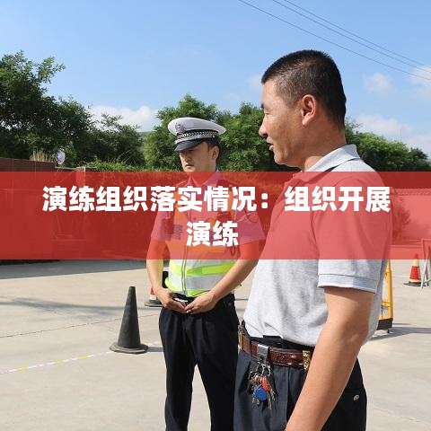 演练组织落实情况：组织开展演练 