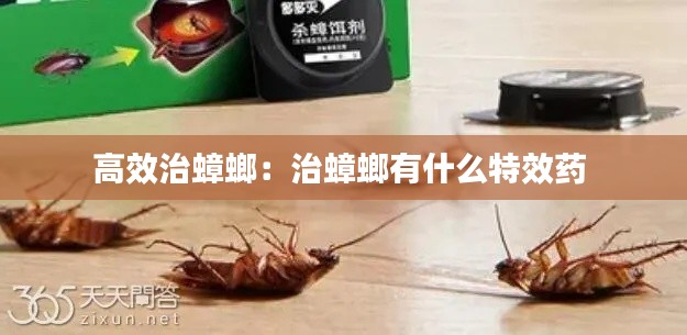 人贵自立 第3页