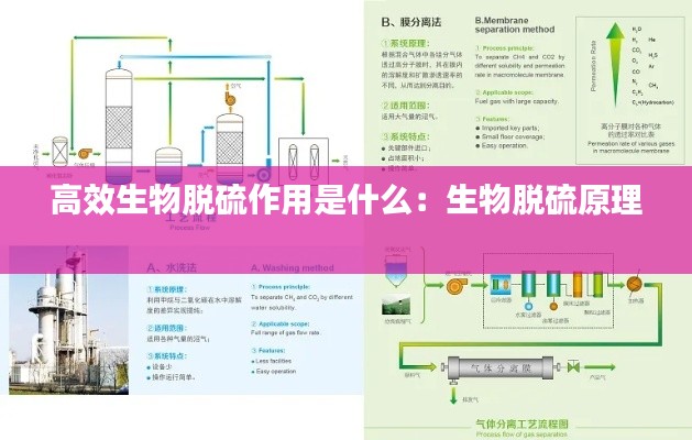 高效生物脱硫作用是什么：生物脱硫原理 