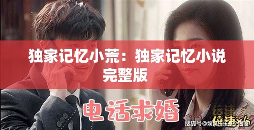 独家记忆小荒：独家记忆小说完整版 