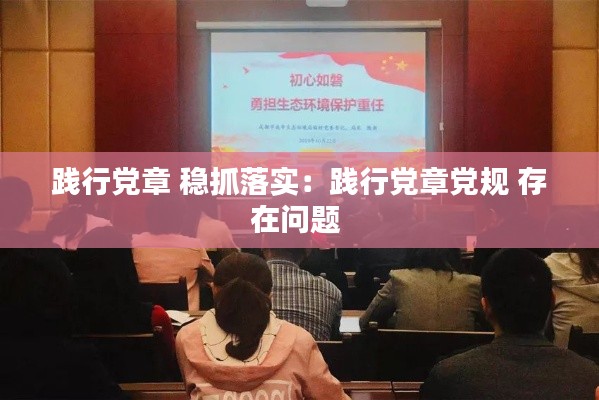 践行党章 稳抓落实：践行党章党规 存在问题 