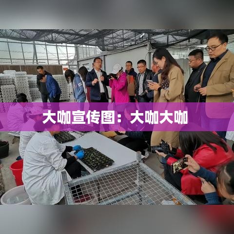 大咖宣传图:大咖大咖