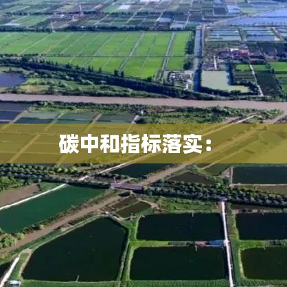 碳中和指标落实： 