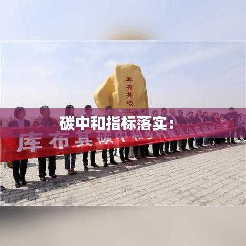 碳中和指标落实: