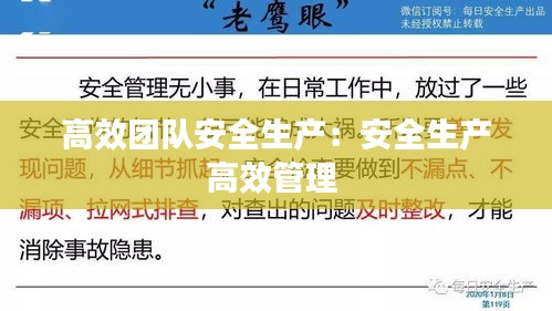 高效团队安全生产：安全生产高效管理 