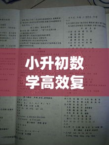 小升初数学高效复习：小升初数学复习资料 