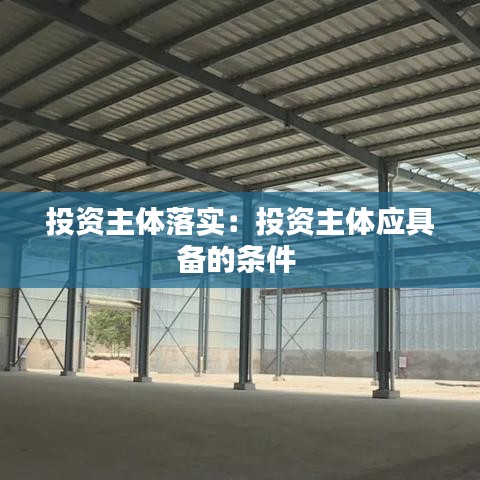 投资主体落实:投资主体应具备的条件