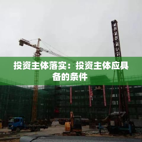 投资主体落实:投资主体应具备的条件