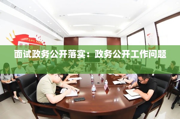 面试政务公开落实：政务公开工作问题 