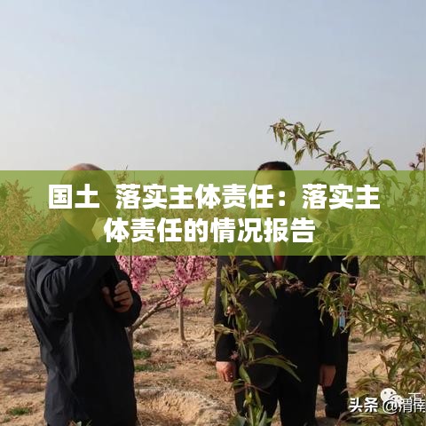 国土  落实主体责任：落实主体责任的情况报告 