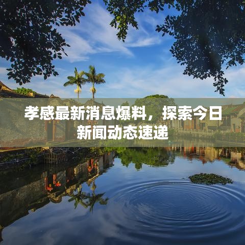 孝感最新消息爆料，探索今日新闻动态速递