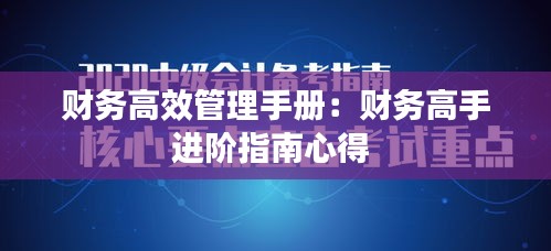 财务高效管理手册:财务高手进阶指南心得