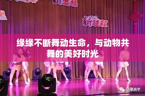 缘缘不断舞动生命，与动物共舞的美好时光