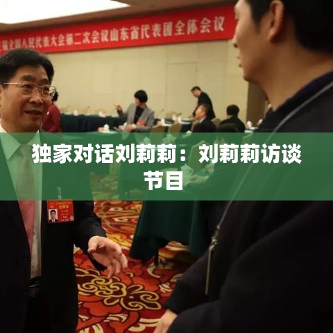 独家对话刘莉莉：刘莉莉访谈节目 