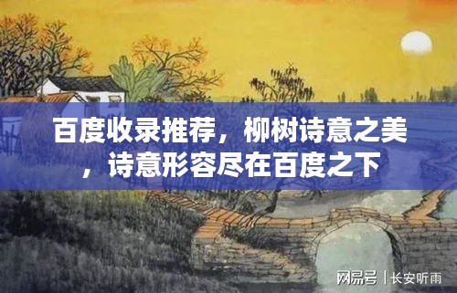 百度收录推荐，柳树诗意之美，诗意形容尽在百度之下