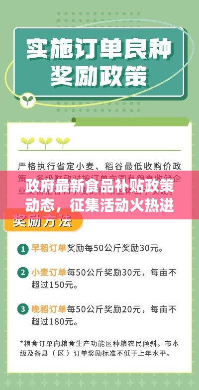 政府最新食品补贴政策动态，征集活动火热进行中