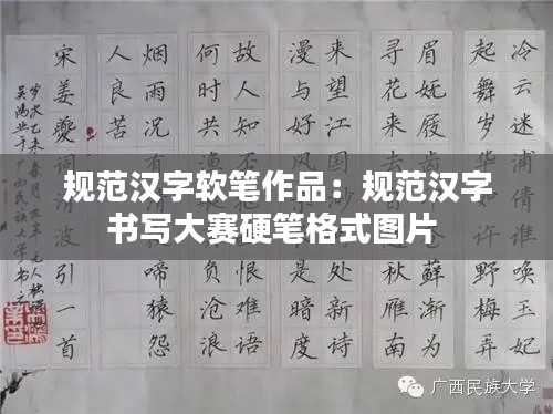 规范汉字软笔作品：规范汉字书写大赛硬笔格式图片 