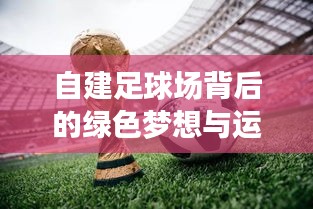 自建足球场背后的绿色梦想与运动激情，深度解读