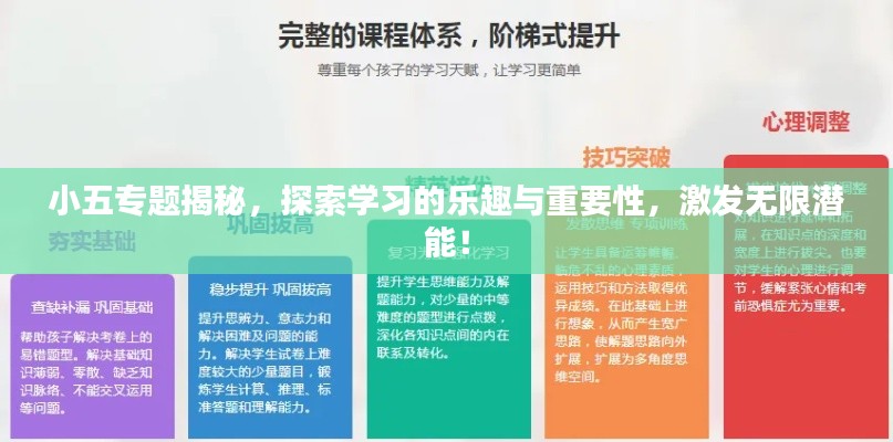 小五专题揭秘，探索学习的乐趣与重要性，激发无限潜能！