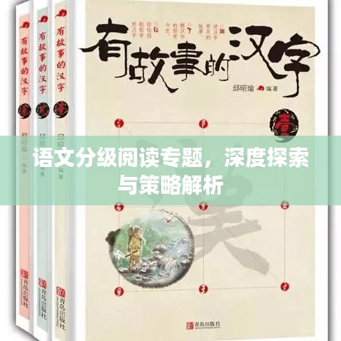 语文分级阅读专题，深度探索与策略解析