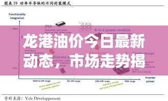 龙港油价今日最新动态，市场走势揭秘，影响因素深度剖析！