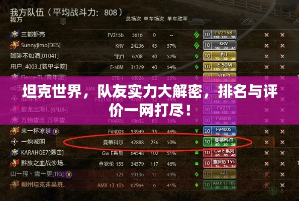 坦克世界，队友实力大解密，排名与评价一网打尽！
