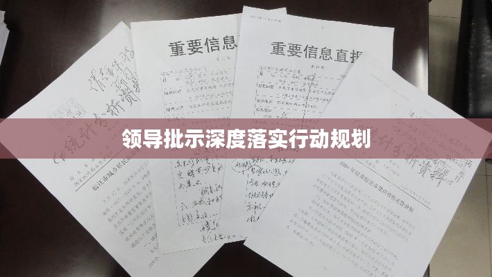 领导批示深度落实行动规划