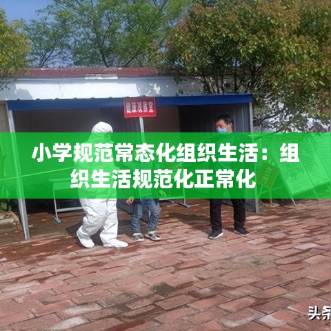 小学规范常态化组织生活：组织生活规范化正常化 