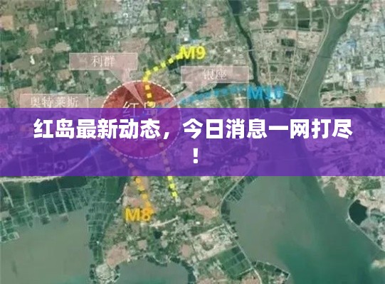 红岛最新动态，今日消息一网打尽！