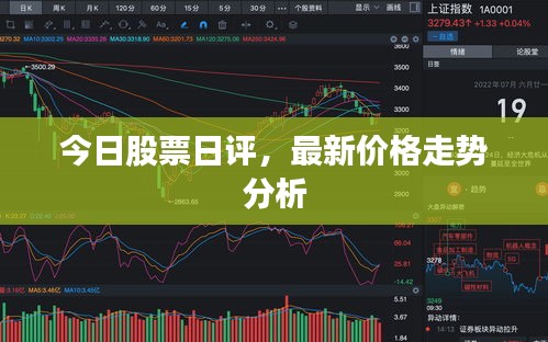 今日股票日评，最新价格走势分析