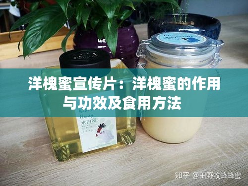 洋槐蜜宣传片：洋槐蜜的作用与功效及食用方法 