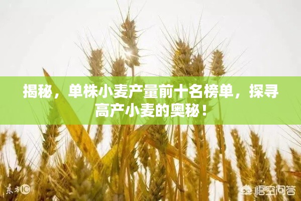腾龙换鸟 第3页
