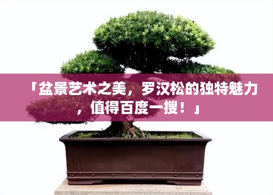 「盆景艺术之美,罗汉松的独特魅力,值得百度一搜!」