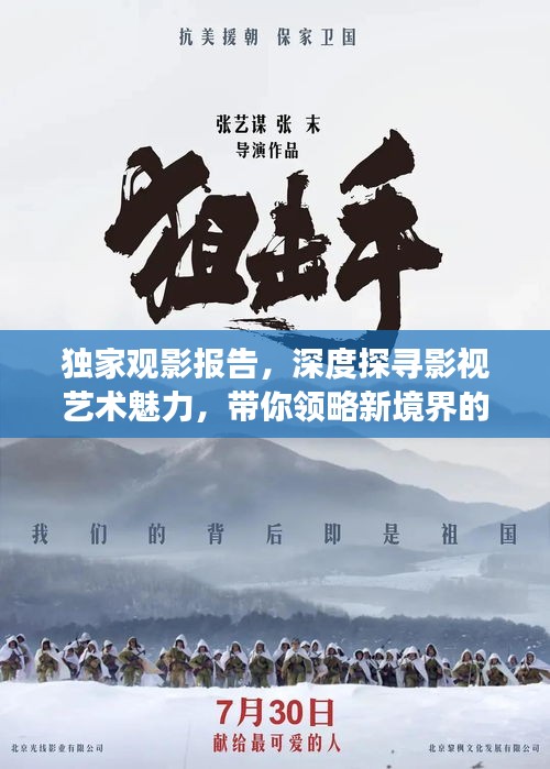 独家观影报告，深度探寻影视艺术魅力，带你领略新境界的震撼！